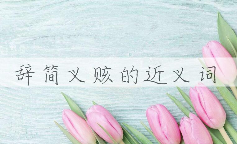 用辞简义赅造句