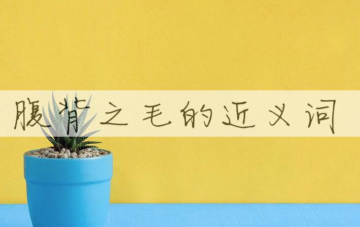 用腹背之毛造句