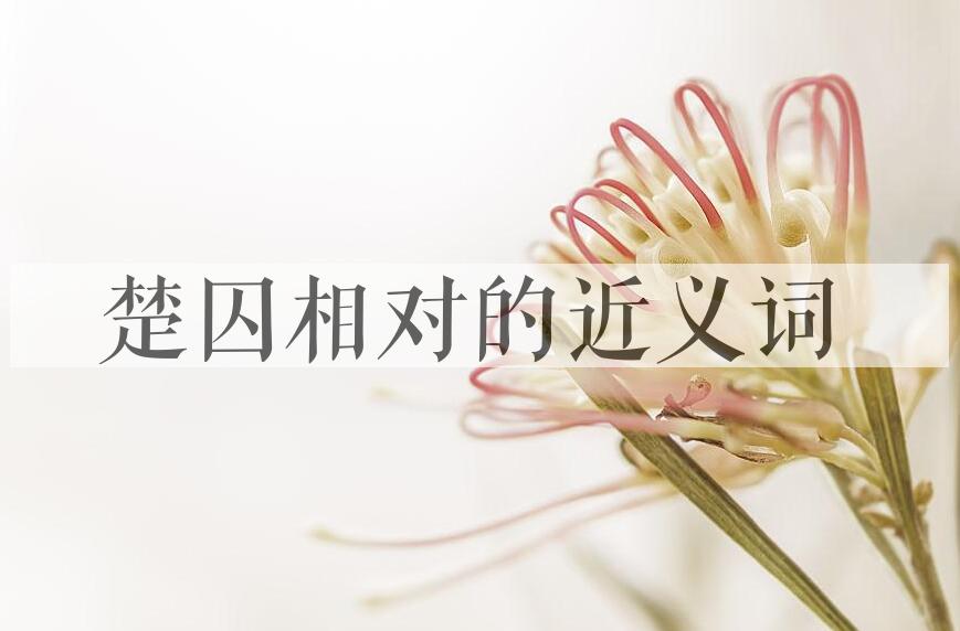 用楚囚相对造句