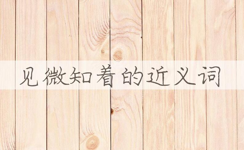 用见微知着造句