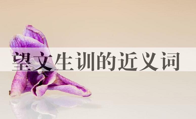 用望文生训造句