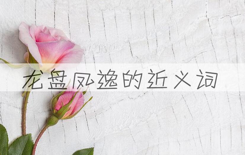 用龙盘凤逸造句