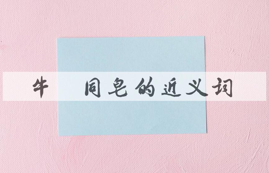 用牛骥同皂造句