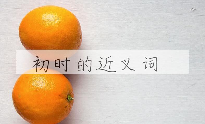 用初时造句