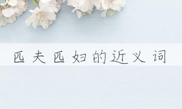 用匹夫匹妇造句