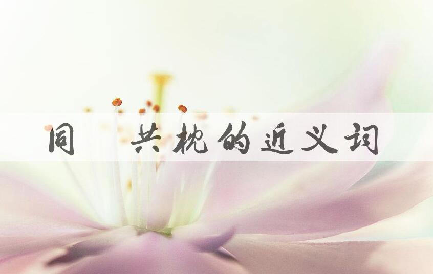 用同衾共枕造句