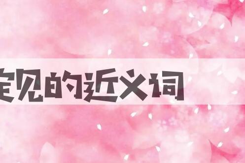 用定见造句