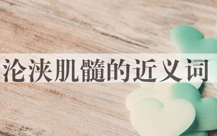 用沦浃肌髓造句