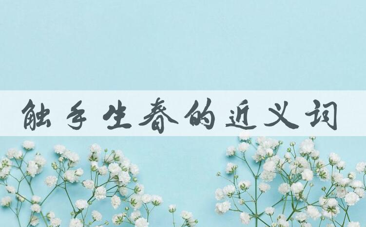 用触手生春造句
