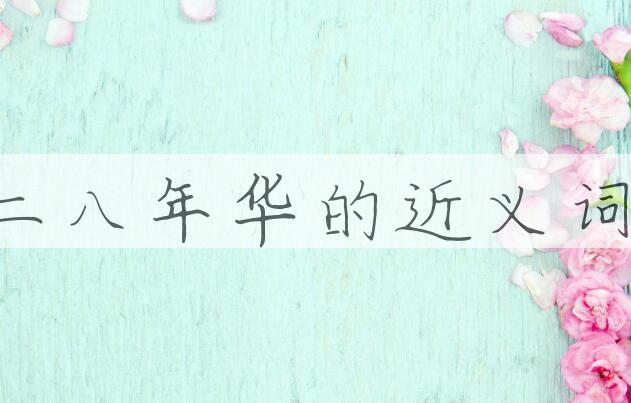用二八年华造句