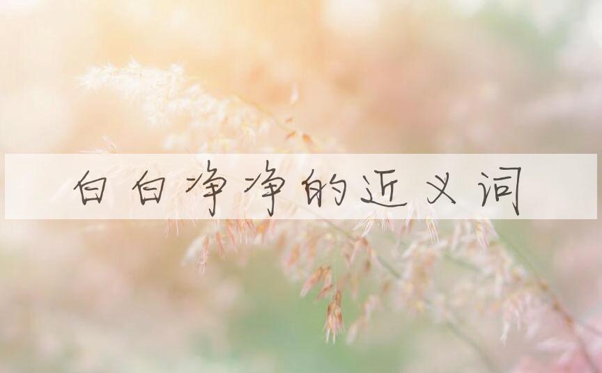 用白白净净造句