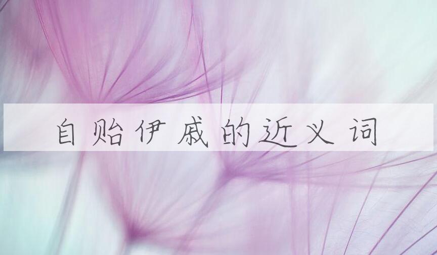 用自贻伊戚造句