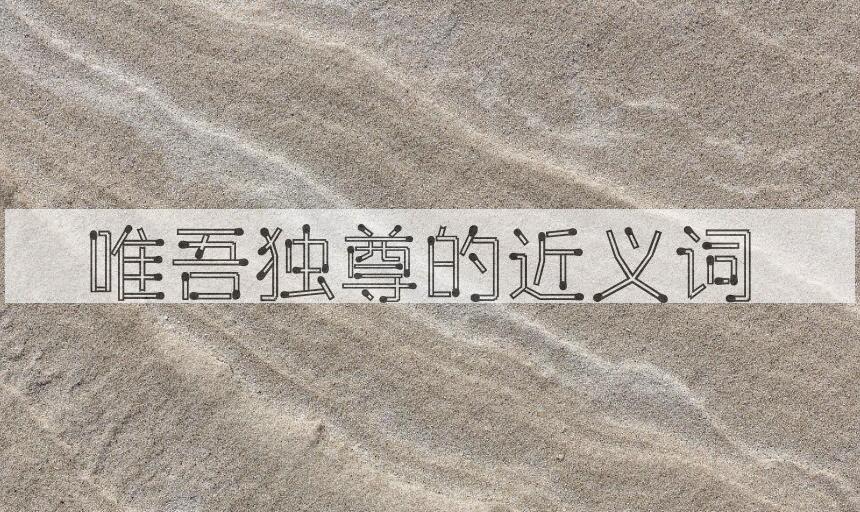 用唯吾独尊造句