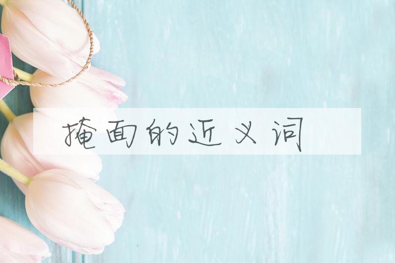 用掩面造句