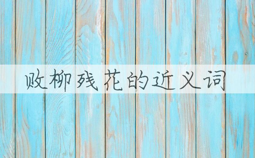 用败柳残花造句