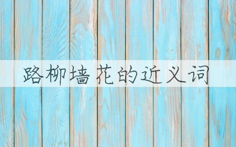 用路柳墙花造句