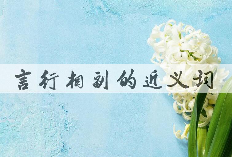 用言行相副造句