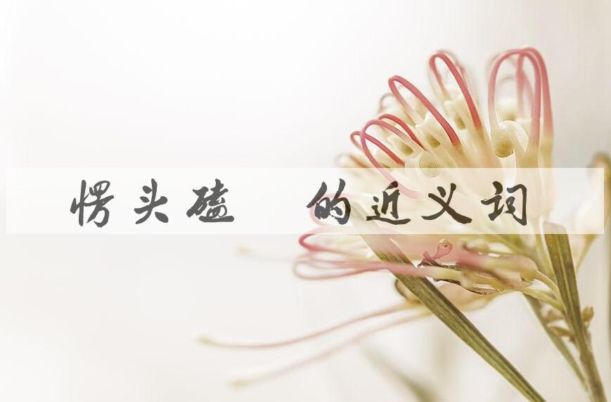 用愣头磕脑造句