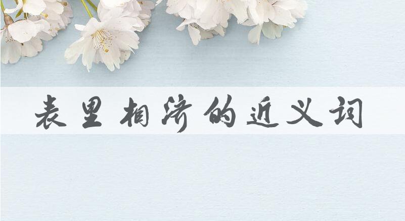 用表里相济造句