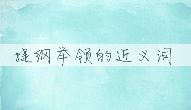 用提纲举领造句