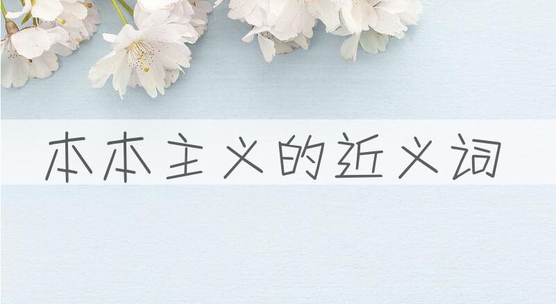 用本本主义造句