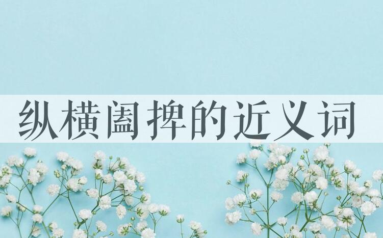 用纵横阖捭造句