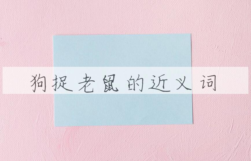 用狗捉老鼠造句