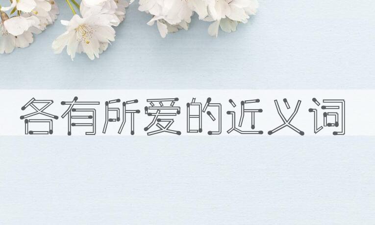 用各有所爱造句