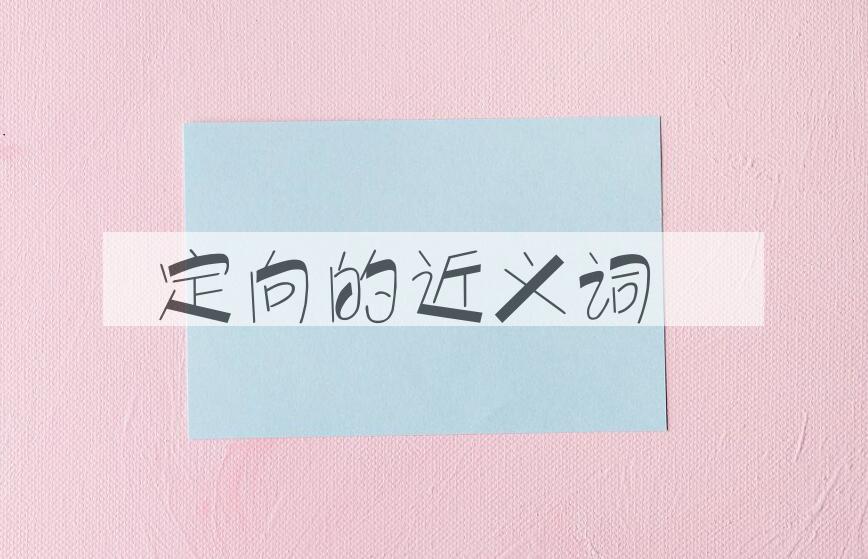 用定向造句