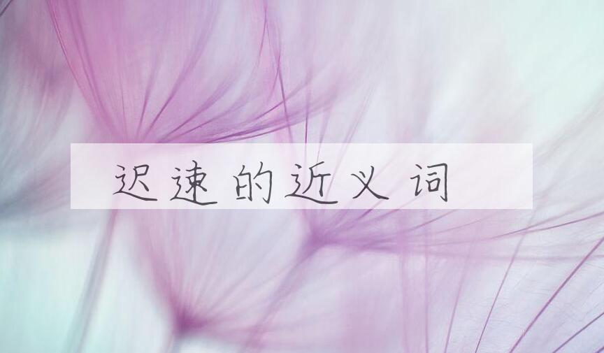 用迟速造句