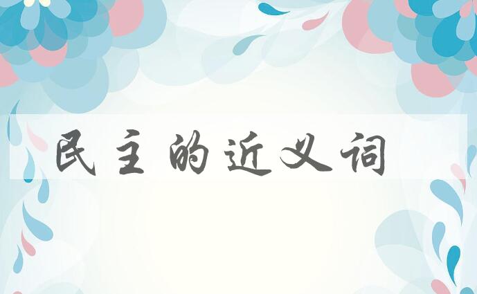 用民主造句