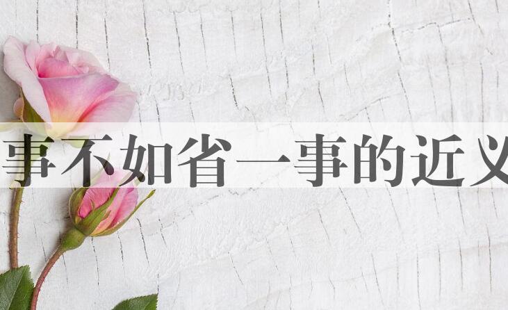 用多一事不如省一事造句