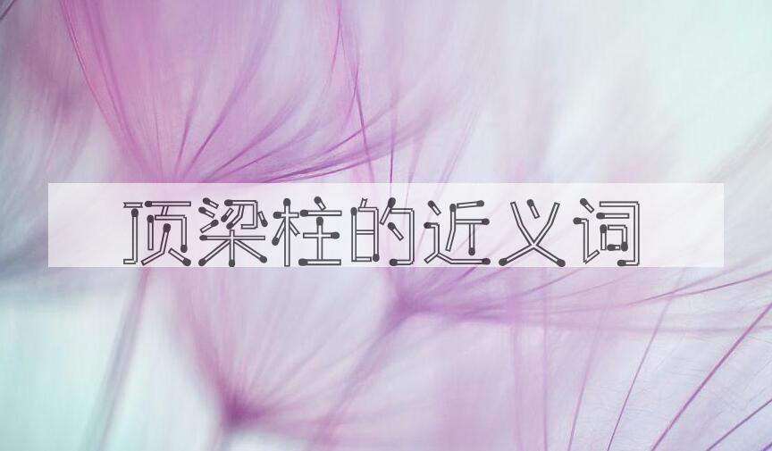 用顶梁柱造句