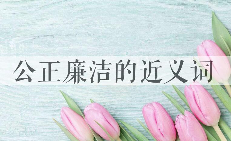 用公正廉洁造句