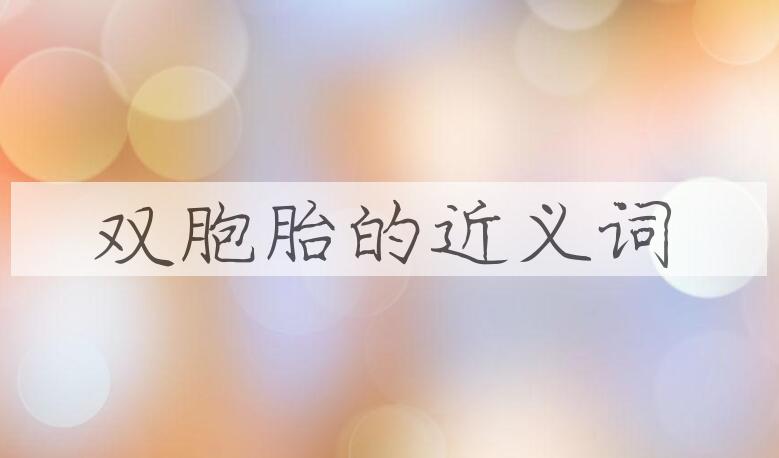 用双胞胎造句