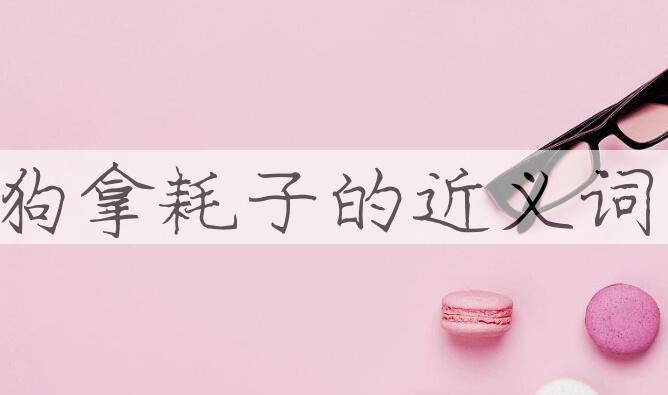 用狗拿耗子造句