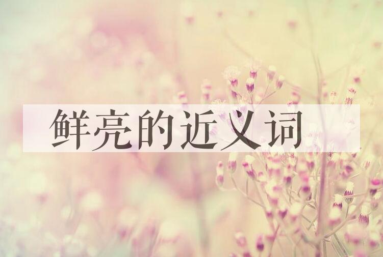 用鲜亮造句