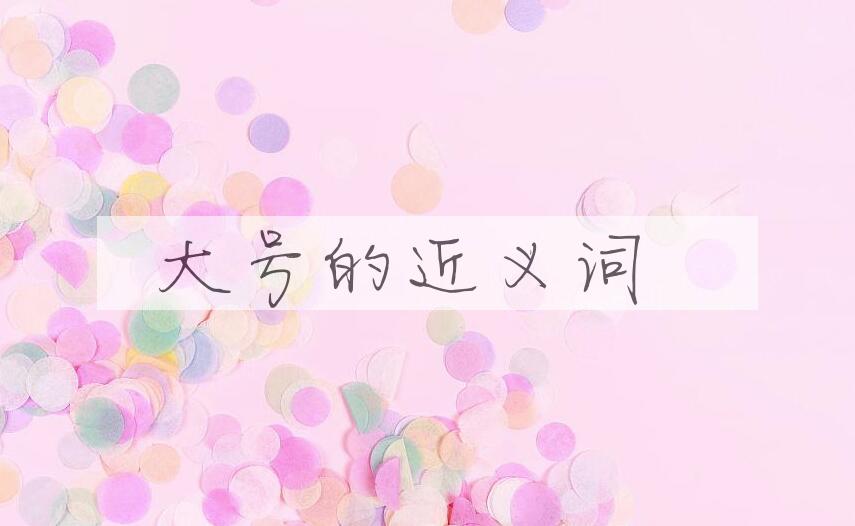 用大号造句