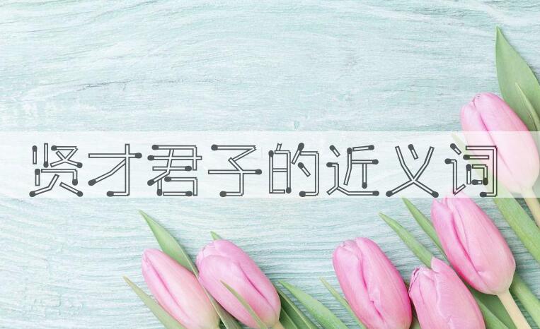 用贤才君子造句