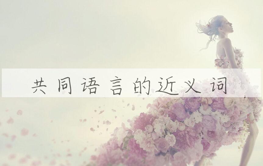 用共同语言造句