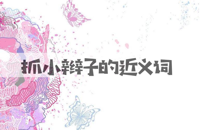 用抓小辫子造句