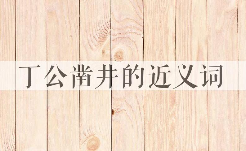 用丁公凿井造句