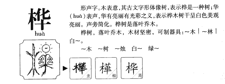 桦-甲骨文字典