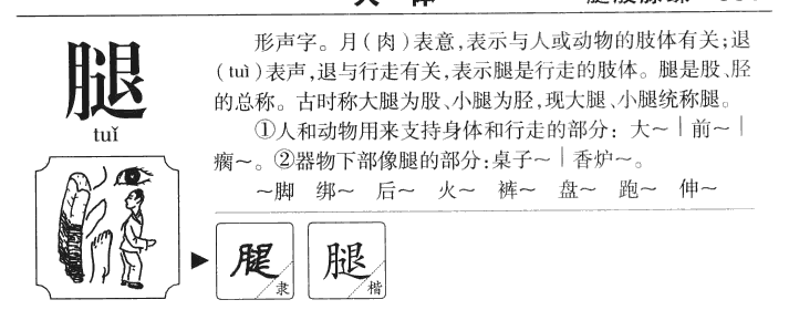 腿-甲骨文字典