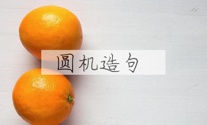 用圆机造句