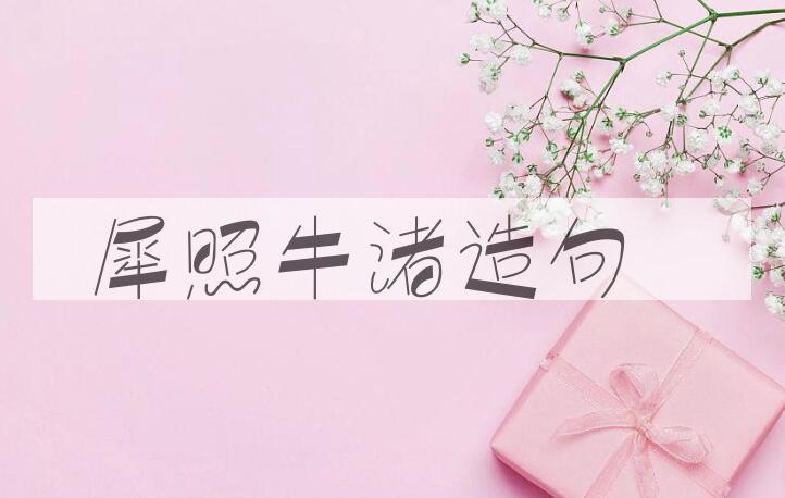 用犀照牛渚造句