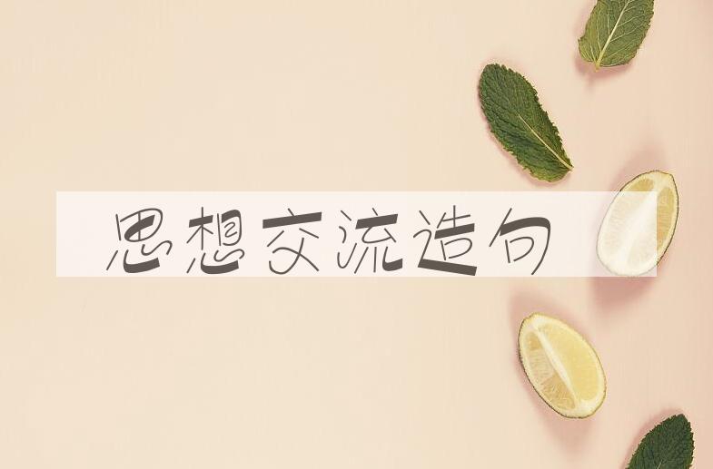 用思想交流造句