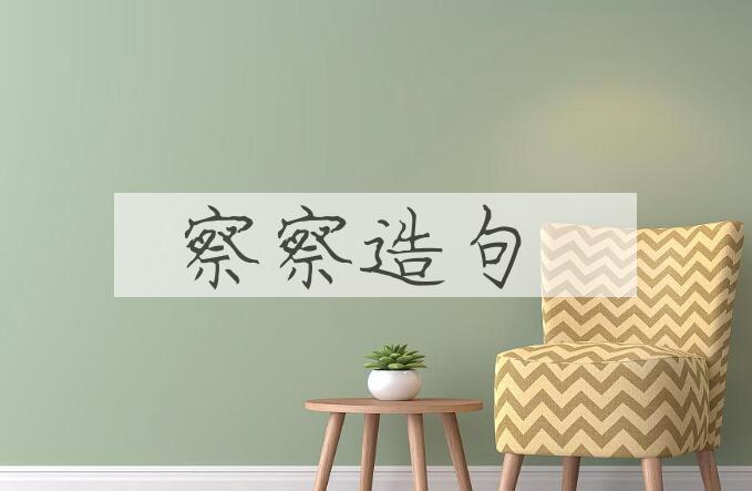 用察察造句