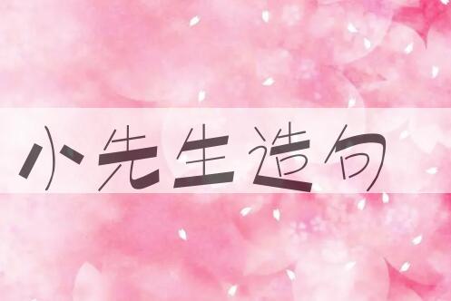 用小先生造句