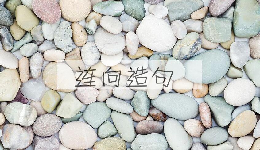 用连向造句